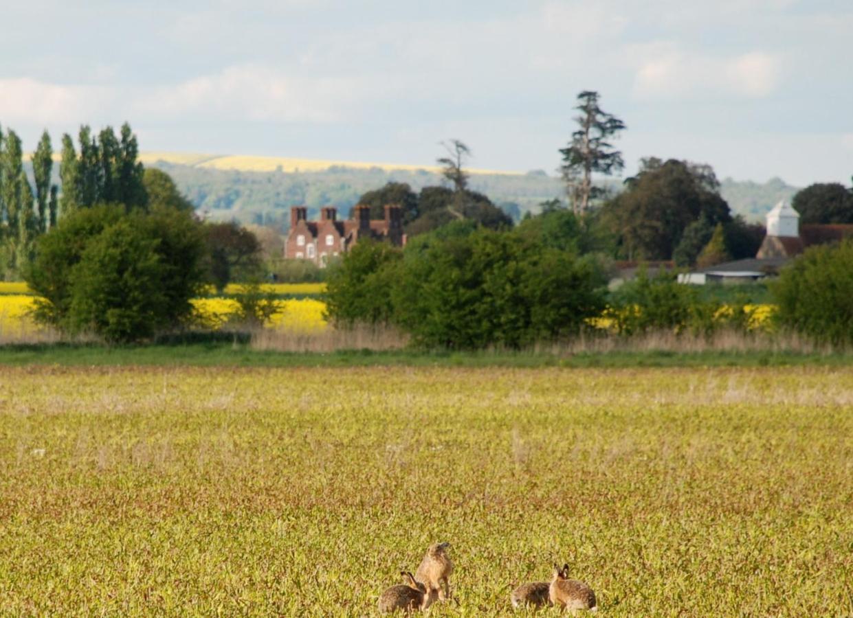 Вилла Barnham Court Farm Экстерьер фото